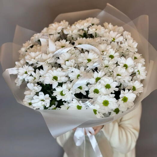 Ромашковое поле 🌸