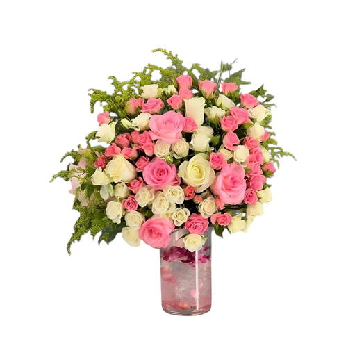 Dream Pink and White