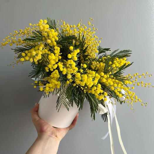 Мимоза в стаканчике ♥️