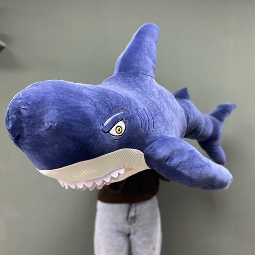 Акула 🦈