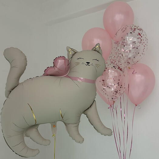 Розовые шарики с большой кошкой
