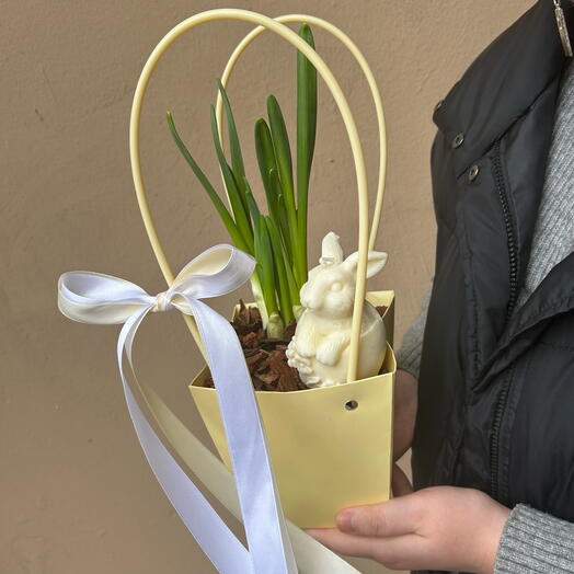Весенняя композиция с луковицами нарцисса и декором🐰🥚