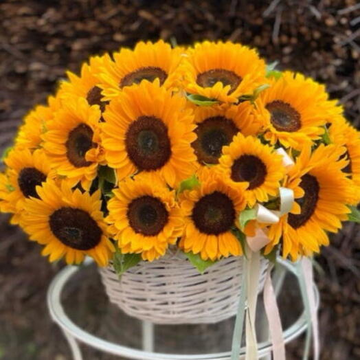 Sunflowers in basket