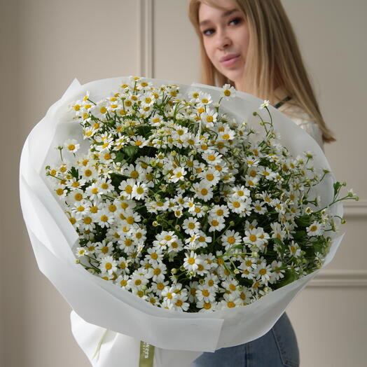 Ромашка