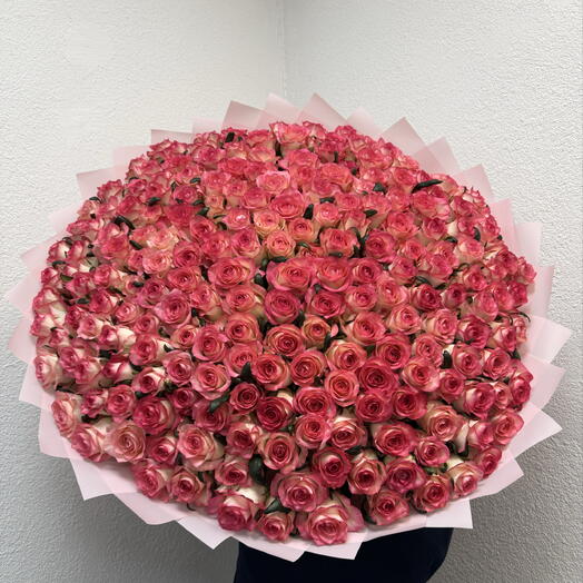 Роза Джамиля 201 🌹🌹🌹