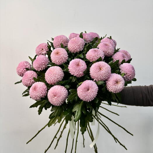 Хризантема Момоко 25 шт