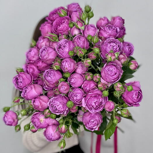 Мисти баблс 11