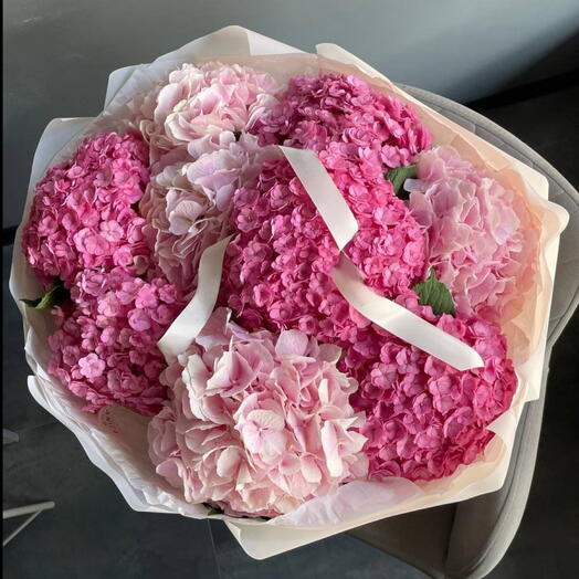 hydrangea Heaven