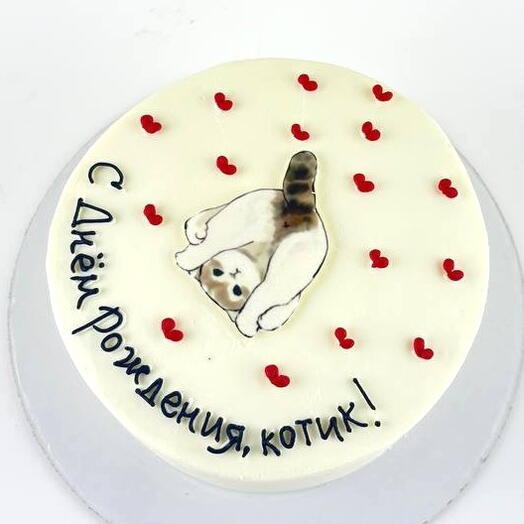 Торт для парня на день рождения "Мой котик"