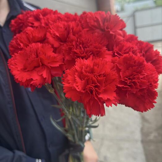 Красные гвоздики