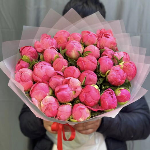 Пионы Коралловые 35 штук