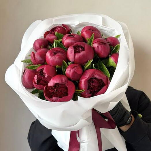 Пионы Бордовые 15 штук