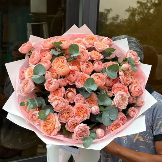 Lumiere Rose