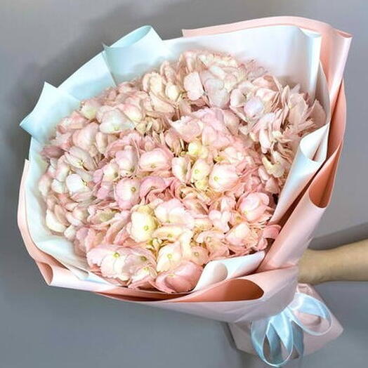 Розовые гортензии в упаковке!🌸