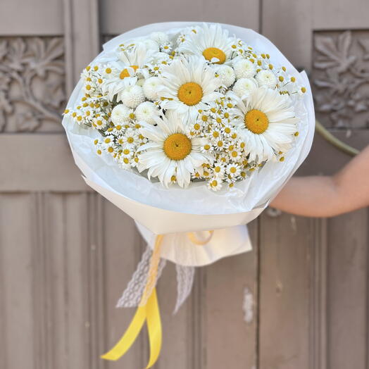 Chamomile meadow