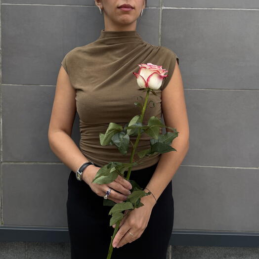 Роза Палома