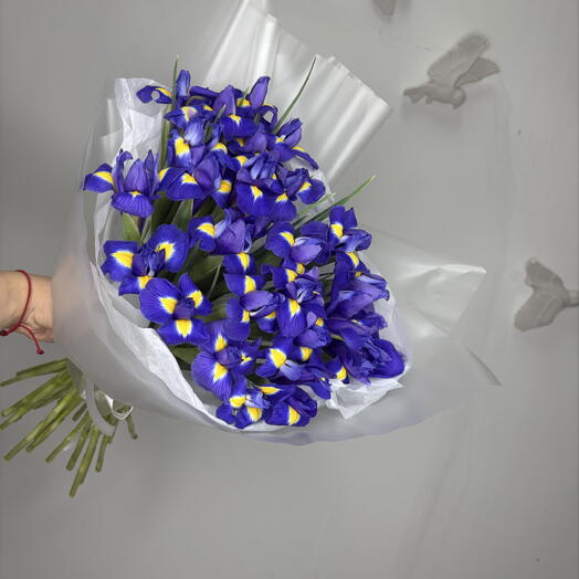 Букет 25 ирисов