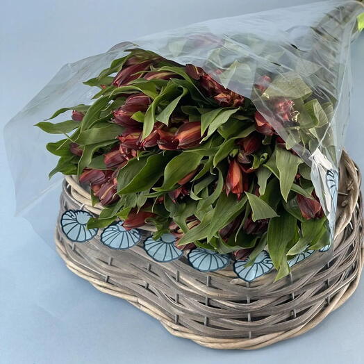 Пачка Альстромерия, 10 шт