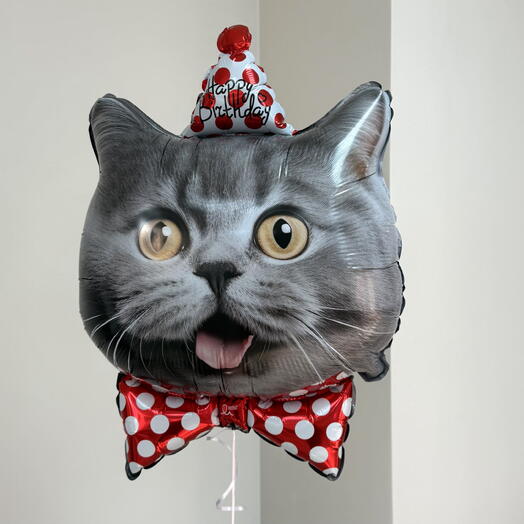Шар на день рождения - Котик Happy Birthday
