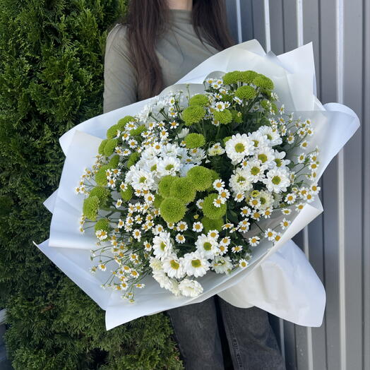 Хризантемы 💐