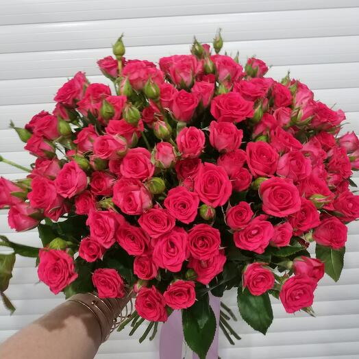 Роза кустовая