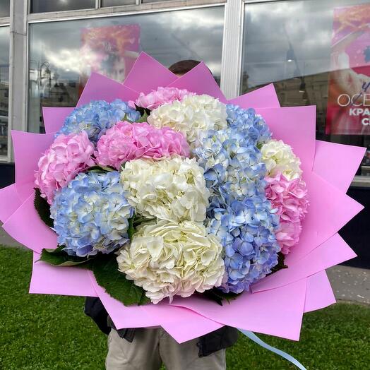 Гортензия микс 🎀