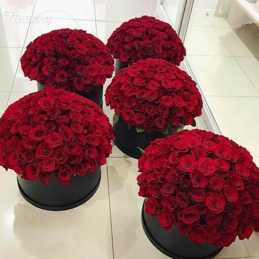 5 boxes of 101 roses