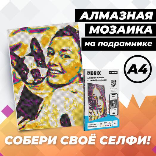 QBRIX Алмазная фото-мозаика на подрамнике POP-ART А4