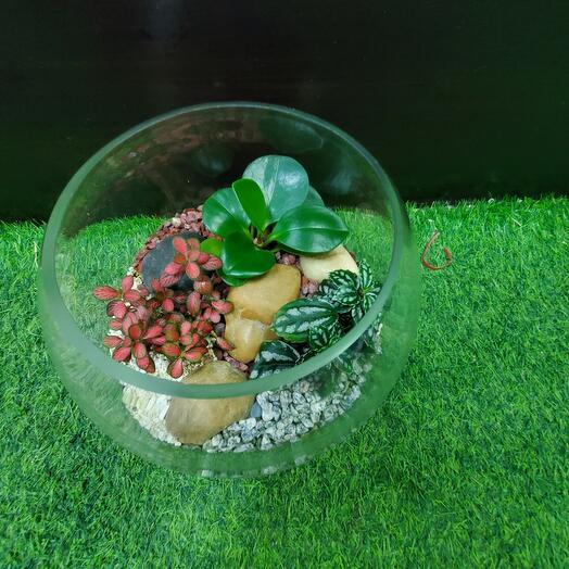 Terrarium