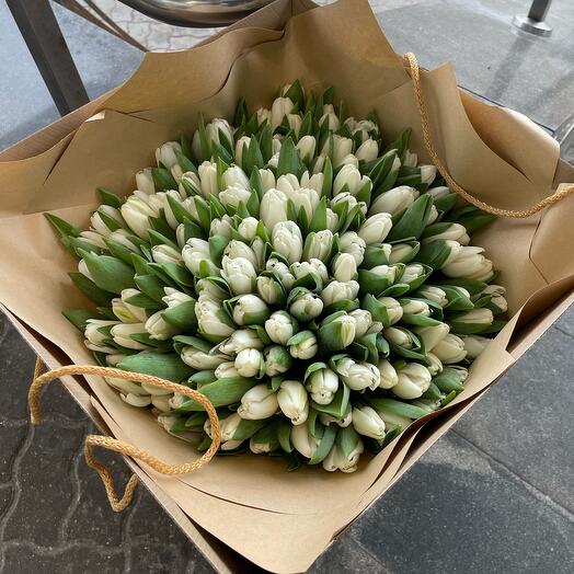 Bouquet of white tulips (99)