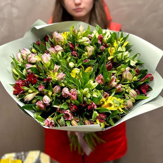 Голландская пышная Альстромерия 31шт