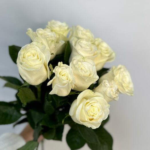 11 rosas