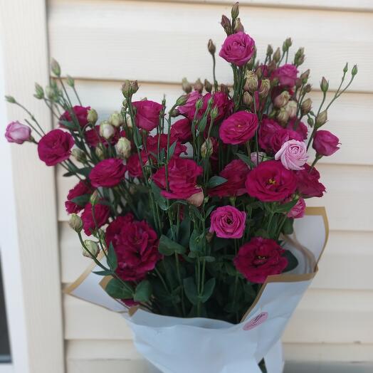 Bordeaux from eustoma (lisianthus)