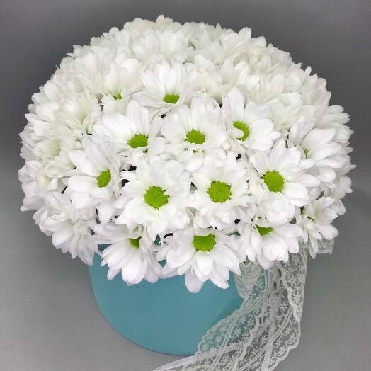 A large box of daisies