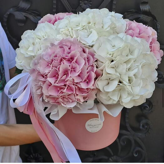 Box of hydrangeas