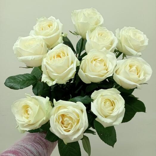 Bouquet of 11 white roses