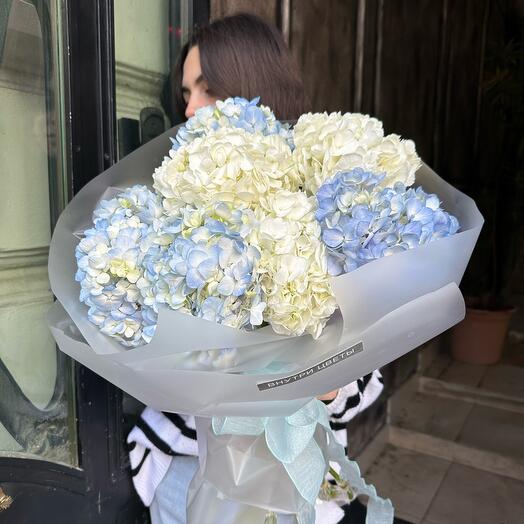 Bouquet of Hydrangeas