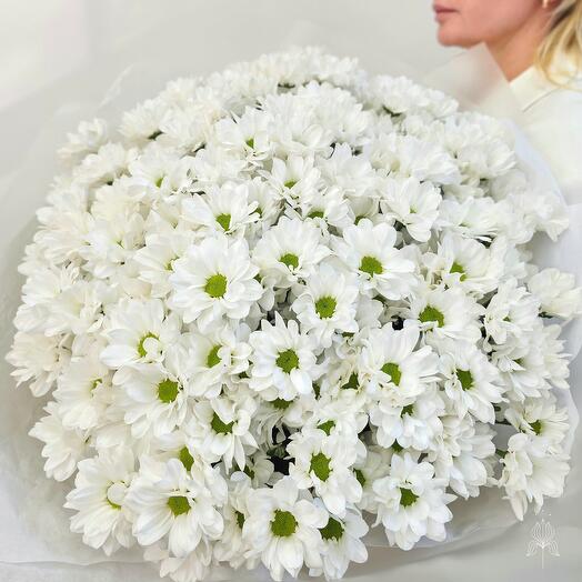 25 кустовых хризантем в матовой плёнке