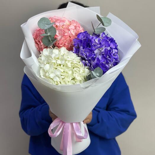 Букет "Микс гортензий"
