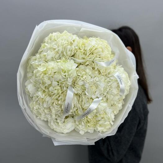 Bouquet of hydrangeas