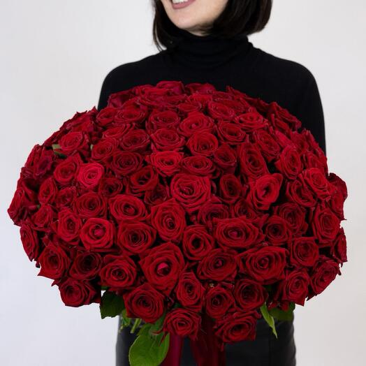 101 Роза Бордо 🌹