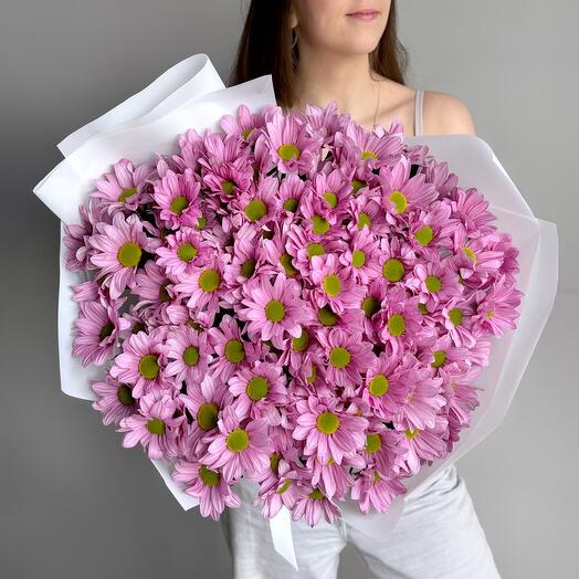 Большой букет кустовая розовая хризантема ромашка Балерина