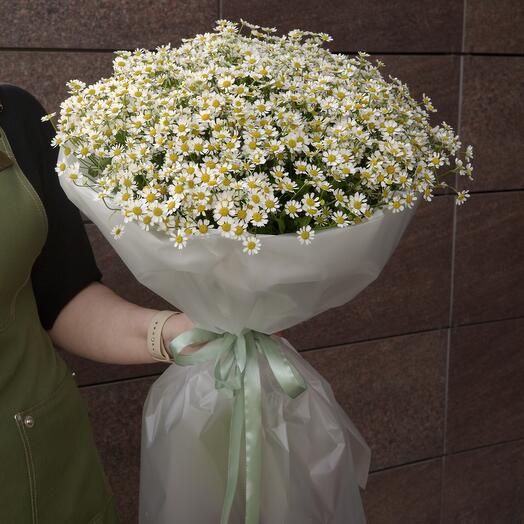 Букет полевых ромашек