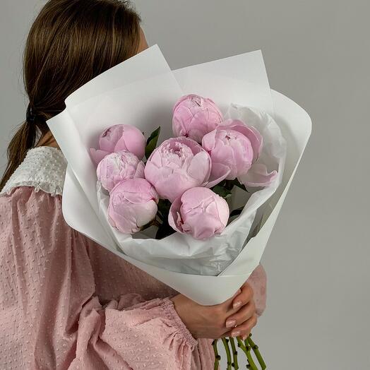 Bouquet of pink peonies. ART 366