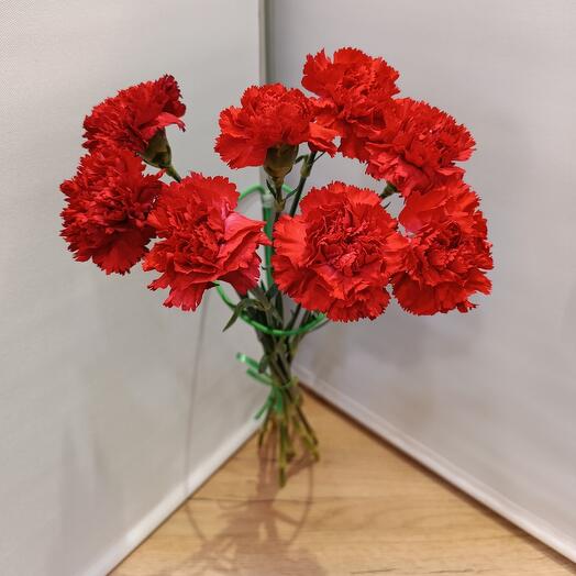 Гвоздика красная Голландия 8 штук