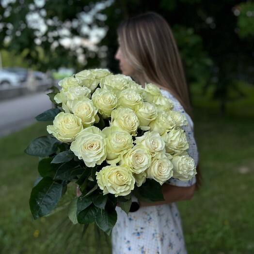 Роза Эквадор «MONDIAL» 25шт🤍