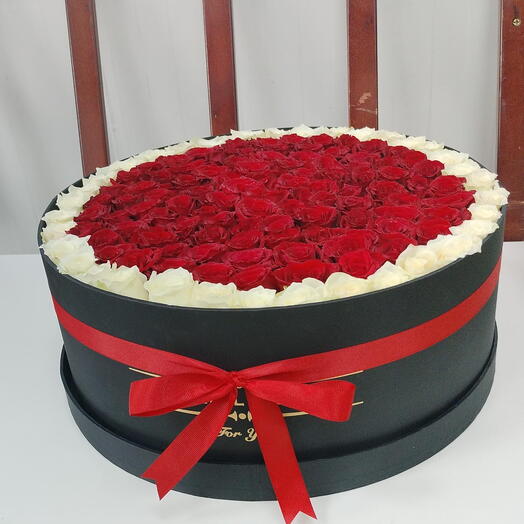 Red White Roses in Black Box