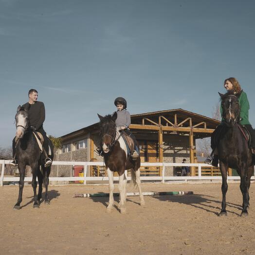 Lezione di equitazione / Horseback Riding Certificate