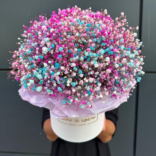 Гипсофила в коробке