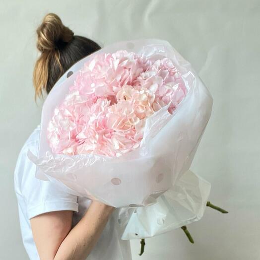 Нежные розовые гортензии